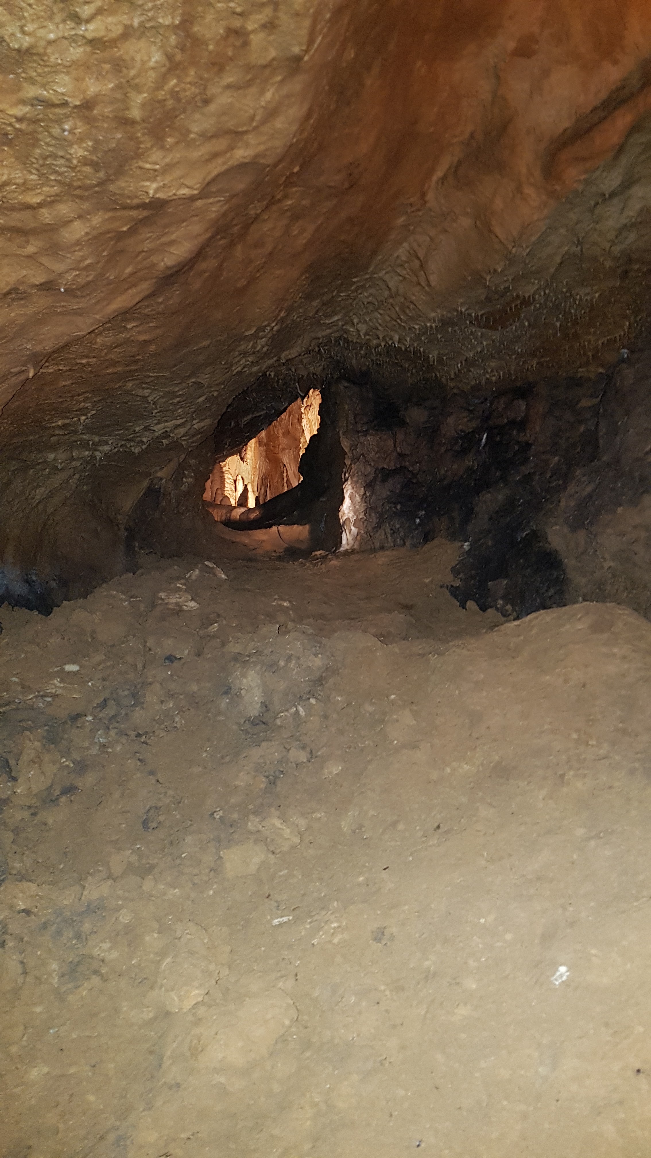 Photo n° 28 de l'avis de delphine.l fait le 25/08/2018 à 12:52