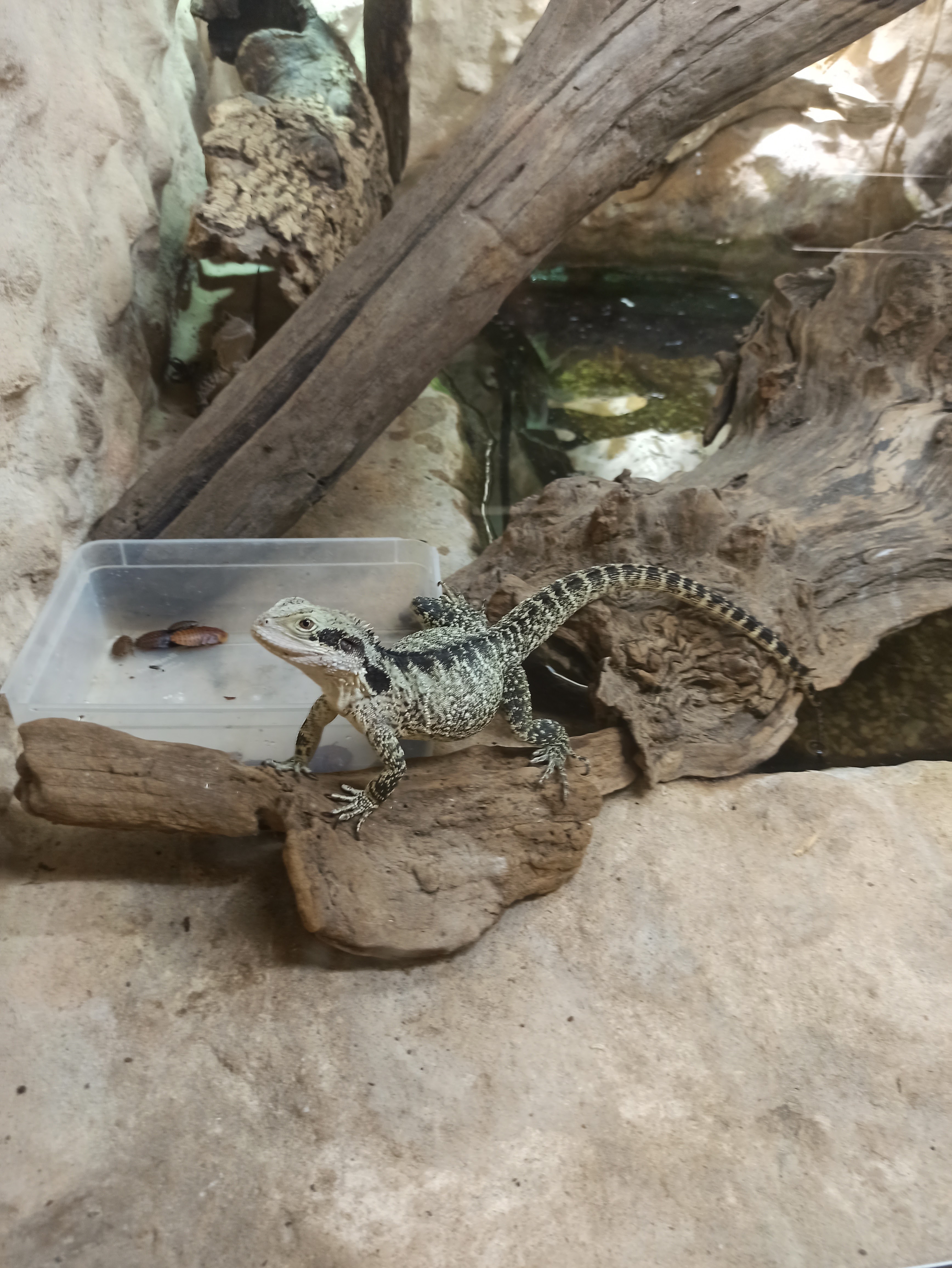 Photo n° 1 de l'avis de Thierry.e fait le 10/07/2023 à 16:02