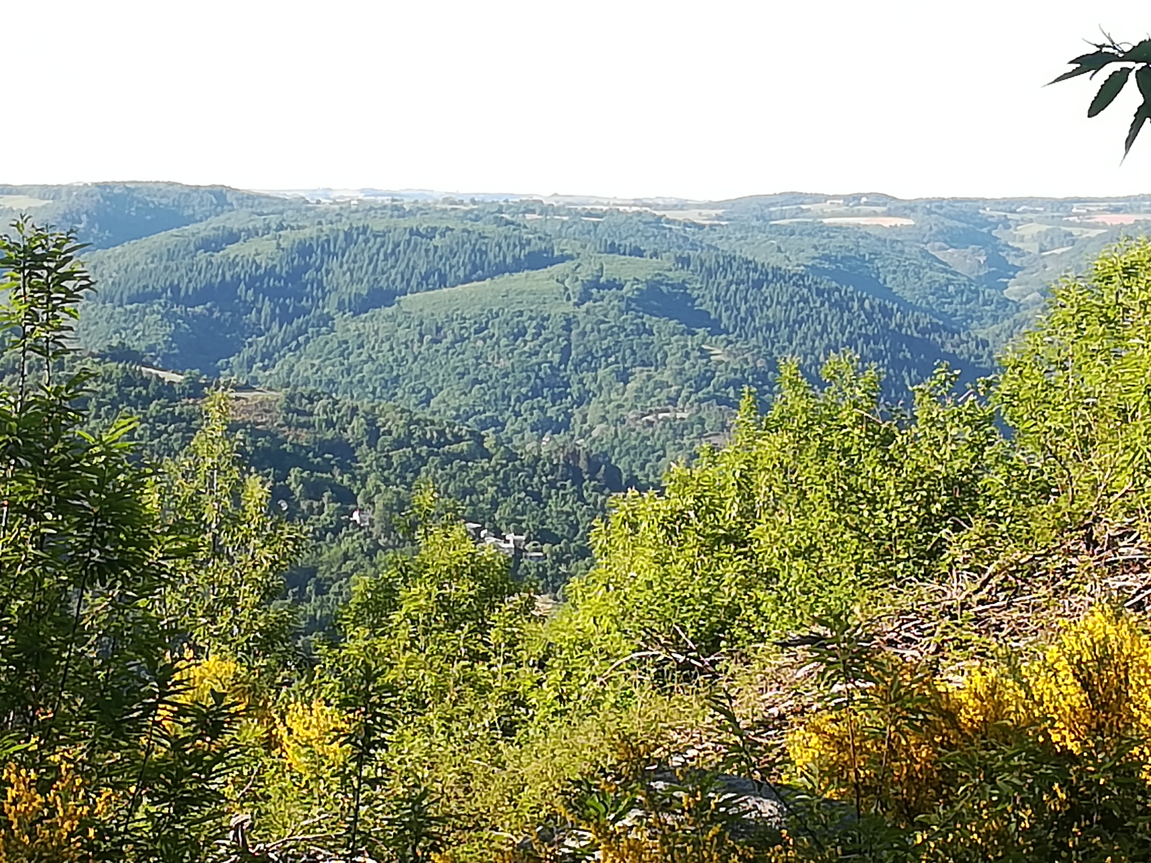 Photo n° 3 de l'avis de Gilles.i fait le 03/06/2019 à 09:45