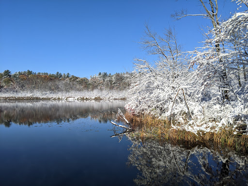 Hiking Area «Stony Brook Reservation», reviews and photos, Turtle Pond Pkwy, Hyde Park, MA 02136, USA