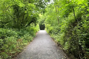Rosshill Park Woods image
