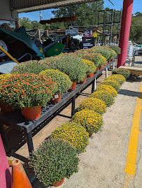 Lithia Springs Ace Hardware - Photo 6 - Car repair in Lithia Springs, GA, South Fulton