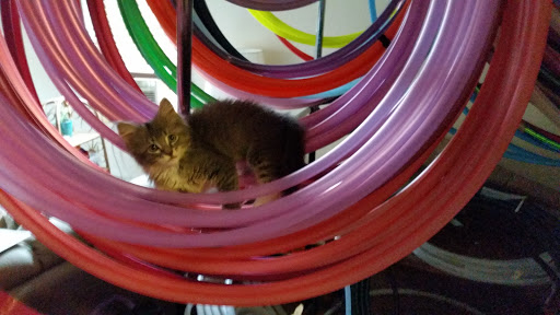 Physical Fitness Program «Freestyle Spirals», reviews and photos, 1 Chestnut Terrace, Lynn, MA 01904, USA