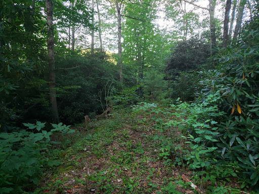 Golf Club «Linville Land Harbor Golf Club», reviews and photos, 1665 Goose Hollow Rd, Linville, NC 28646, USA