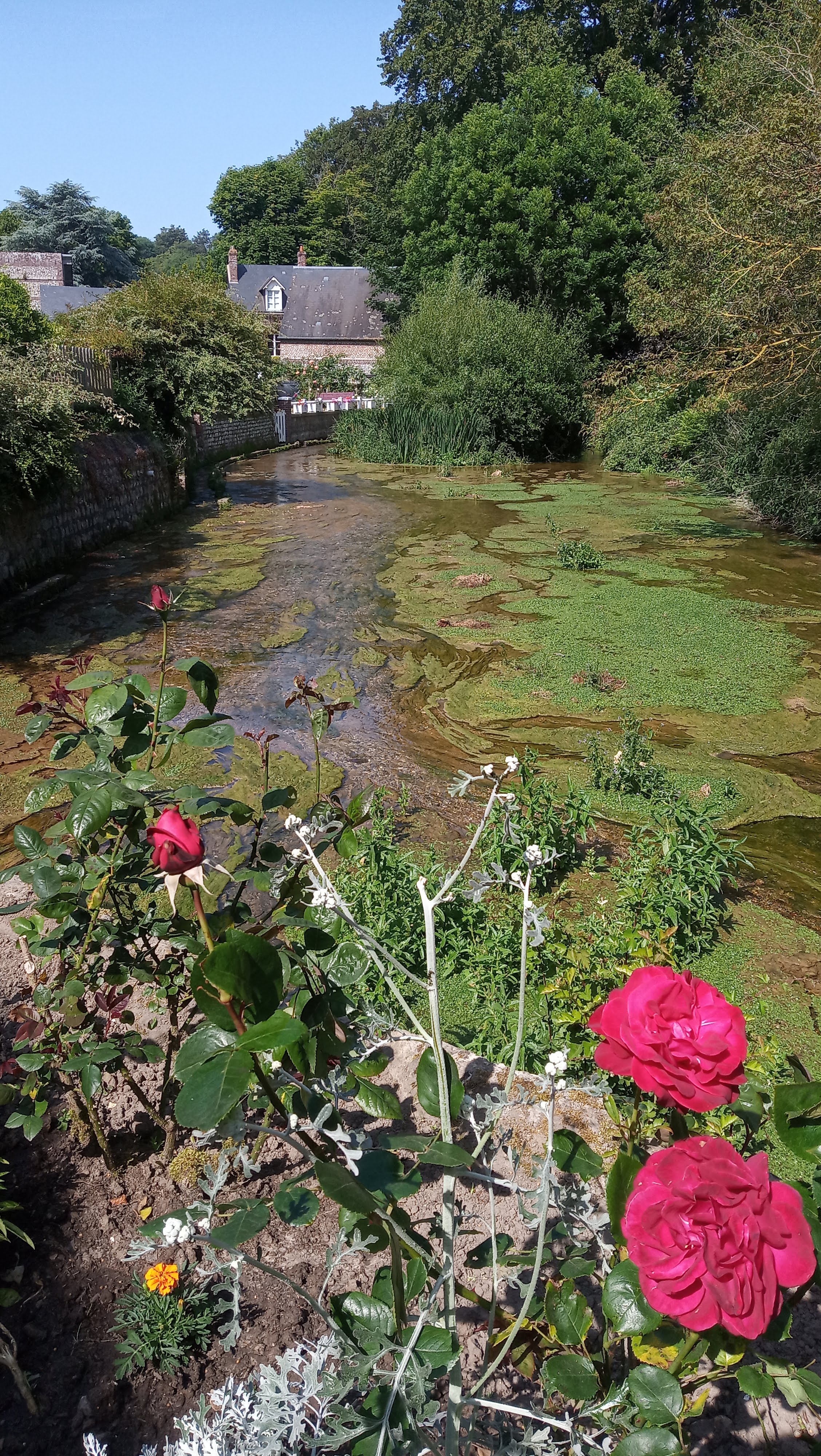 Photo n° 7 de l'avis de Olivier.a fait le 22/06/2023 à 21:32