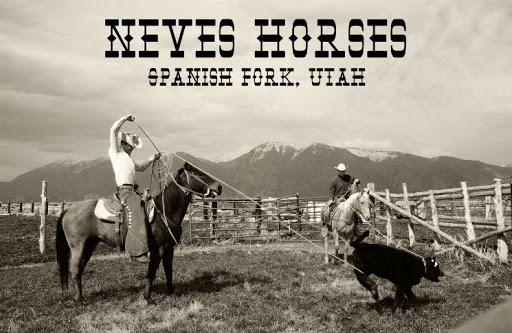 Neves Horses