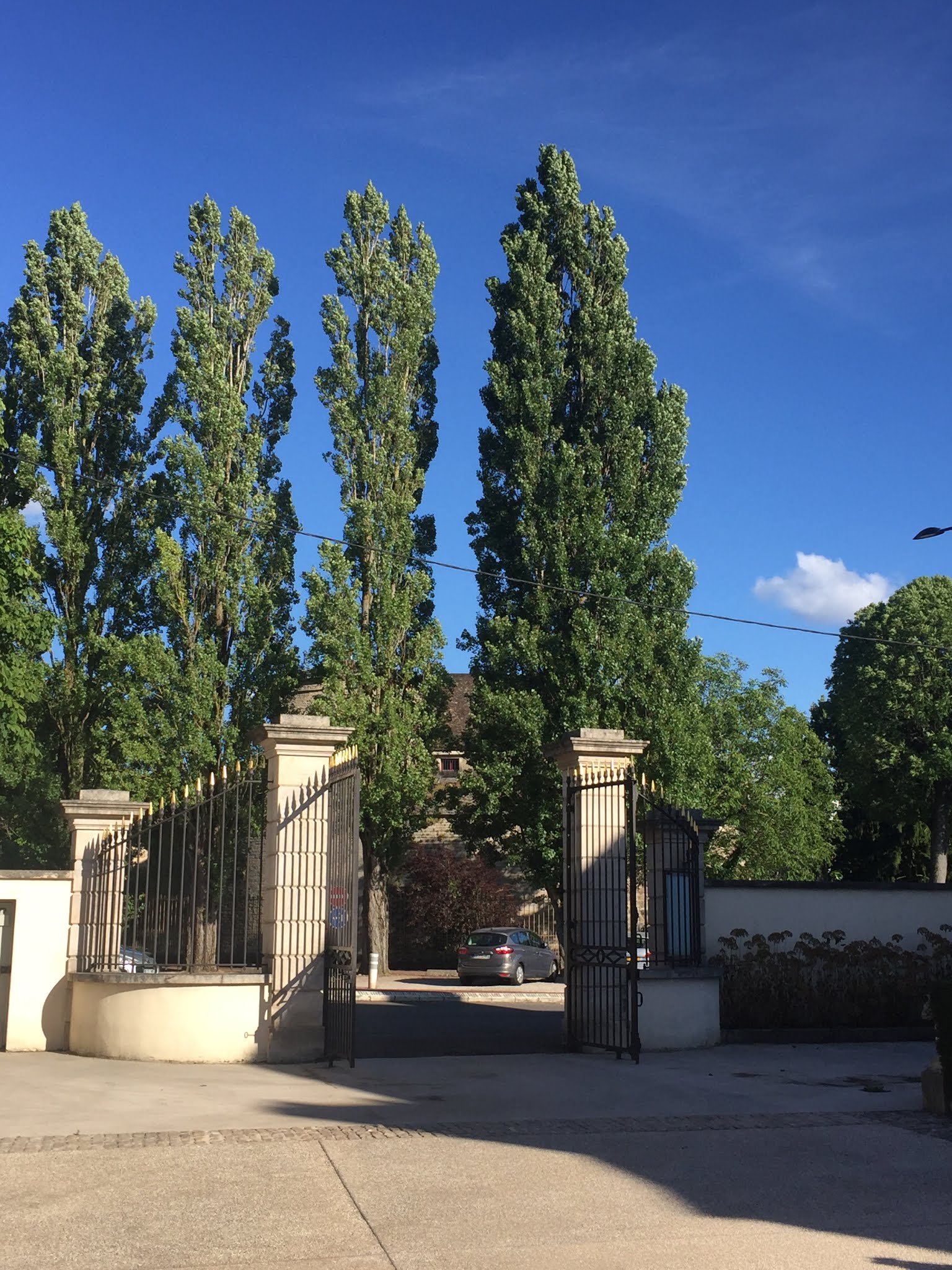 Photo n° 1 de l'avis de Olivier.o fait le 04/08/2018 à 18:38