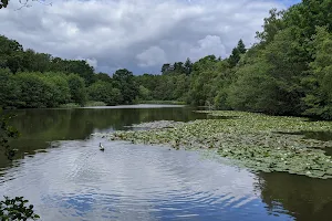 Kiln Pond image