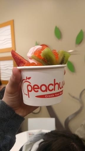 Frozen Yogurt Shop «Peachwave Frozen Yogurt & Gelato», reviews and photos, 6 W 8th St, Holland, MI 49423, USA