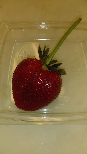 Supermarket «Weis Markets», reviews and photos, 210 H G Trueman Rd, Lusby, MD 20657, USA