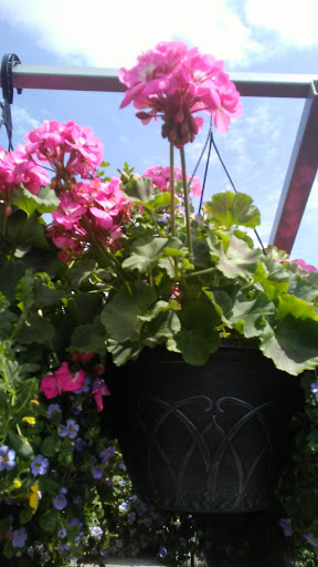 Home Improvement Store «The Home Depot», reviews and photos, 2000 Butterfield Rd, Downers Grove, IL 60515, USA