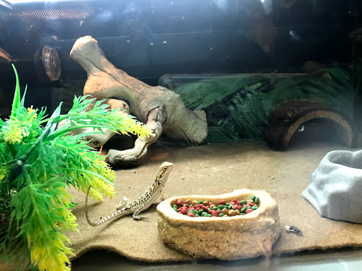 Pet Supply Store «PetSmart», reviews and photos, 17651 Colima Rd, City of Industry, CA 91748, USA