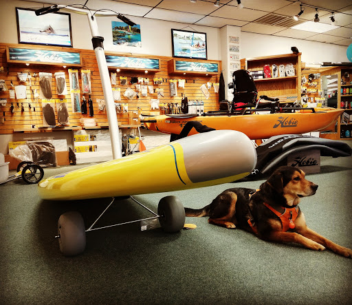 Outdoor Sports Store «Wild River Outfitters Inc», reviews and photos, 3636 Virginia Beach Blvd #108, Virginia Beach, VA 23452, USA