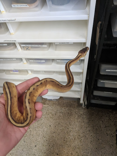 Pet Supply Store «Pet Bazaar», reviews and photos, 490 FL-436, Casselberry, FL 32707, USA