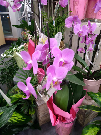 Supermarket «Hy-Vee», reviews and photos, 2400 2nd Ave, Muscatine, IA 52761, USA