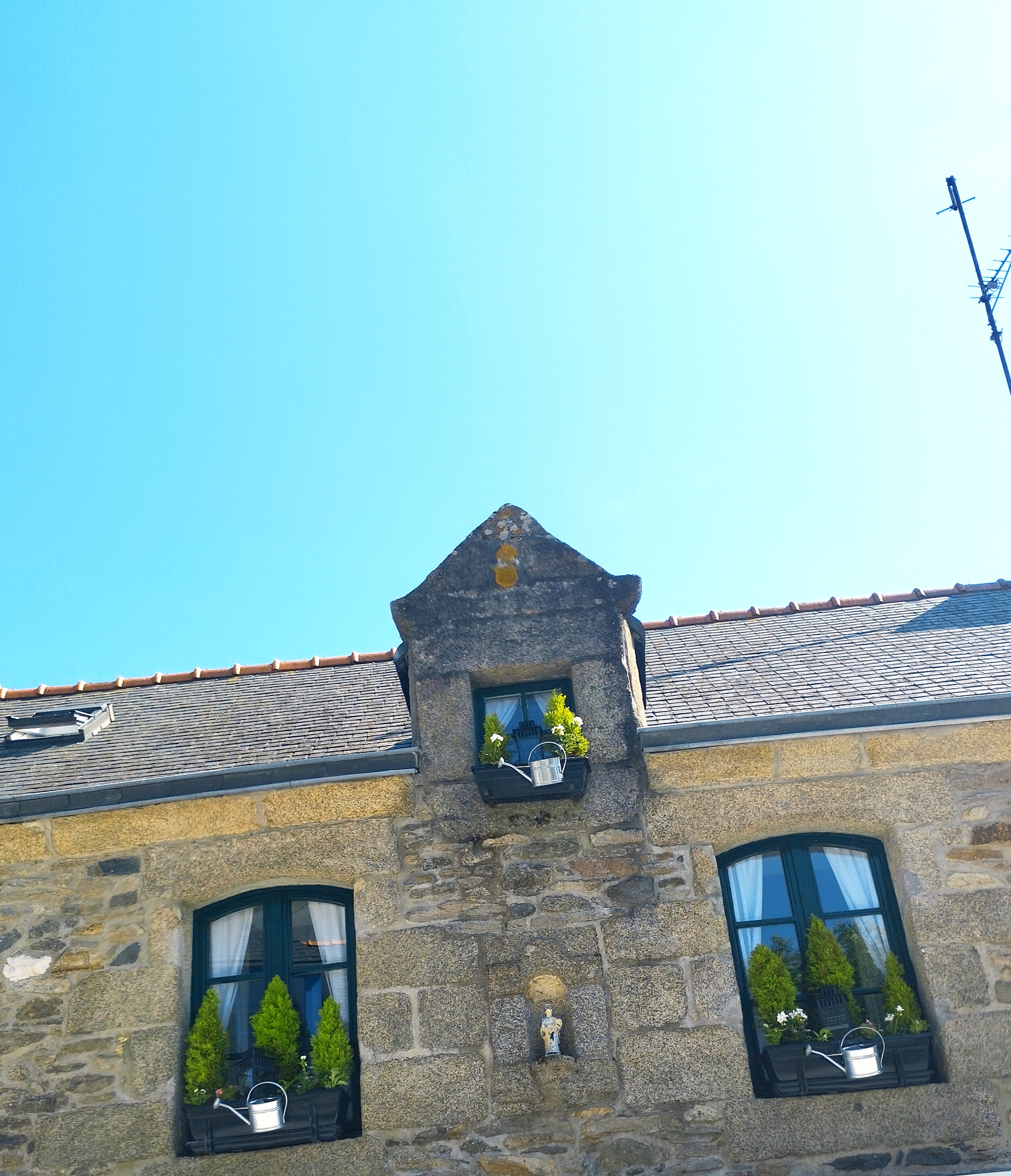 Photo n° 4 de l'avis de Picard.u fait le 09/06/2023 à 11:35