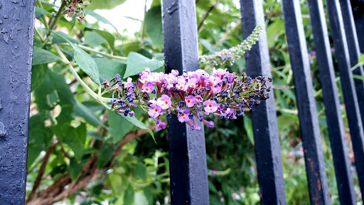 Park «Travers Park», reviews and photos, 76-9 34th Ave, Jackson Heights, NY 11372, USA