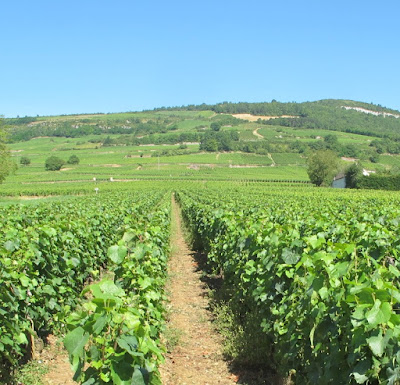 Jacques et Justin Girardin à Santenay