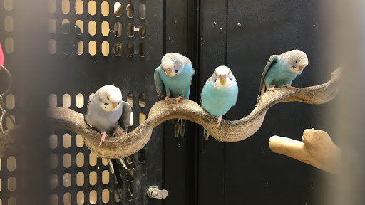 Pet Supply Store «PetSmart», reviews and photos, 1203 N Landing Way, Renton, WA 98057, USA