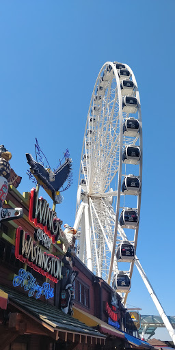 Gift Shop «Seattle Aquarium Gift Store», reviews and photos, 1483 Alaskan Way, Seattle, WA 98101, USA
