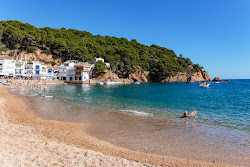 Foto di Spiaggia di Tamariu con molto pulita livello di pulizia