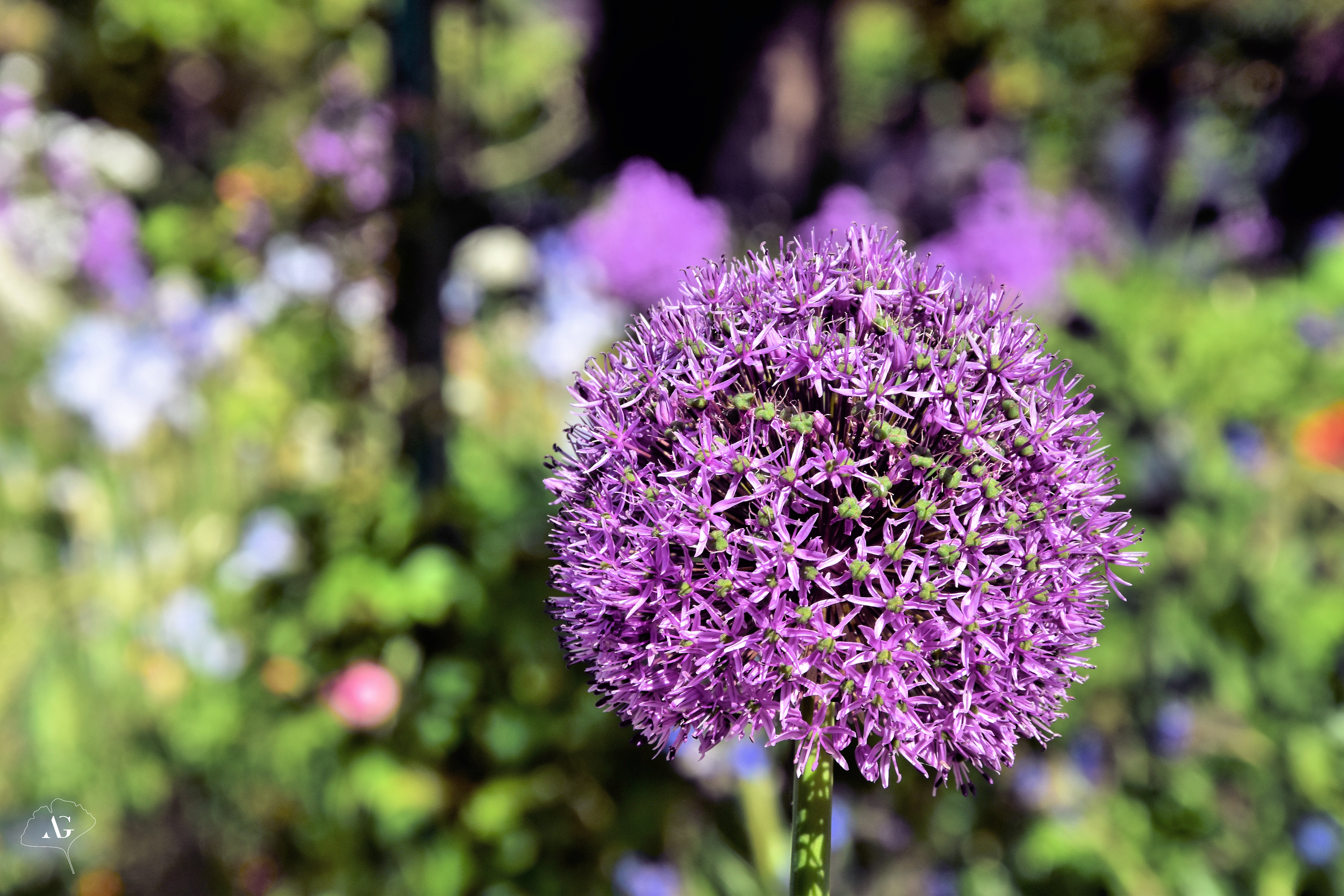 Photo n° 4 de l'avis de Audrey.. fait le 17/05/2022 à 09:49