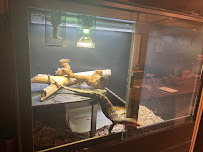 Recoil Reptiles Racks and Enclosures - Photo 5 - Car repair in Oklahoma City, OK, Oklahoma City