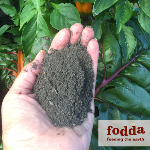 Fodda - Feeding the Earth - Kerikeri