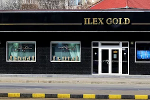 Ilex Gold image