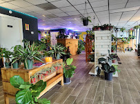 The Plant Trap - Photo 9 - Car repair in Longwood, FL, Deltona