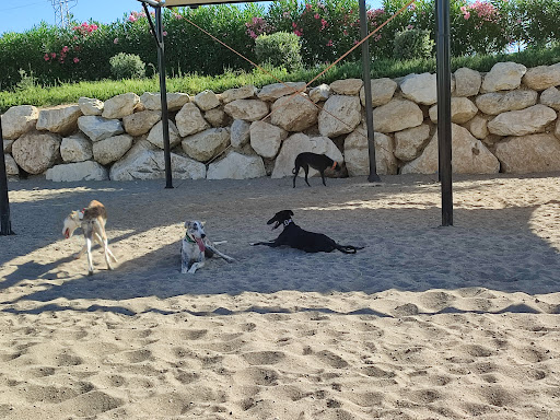 Clínica Veterinaria Teckel - C. Cártama, 11, 29649 La Cala de Mijas, Málaga, España