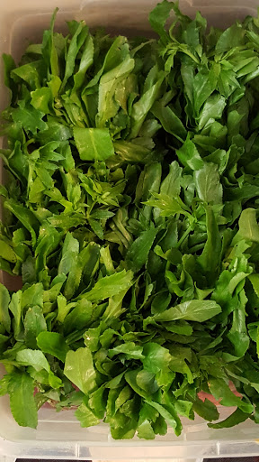 Grocery Store «World Wide Food Market», reviews and photos, 5623 Williamson Rd, Roanoke, VA 24012, USA