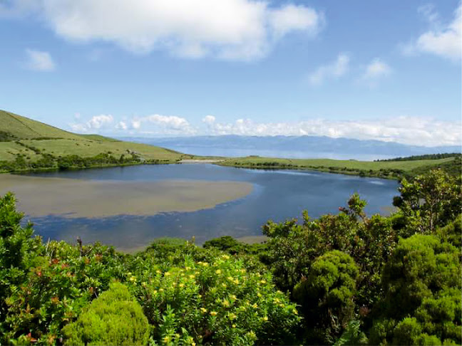 Comentários e avaliações sobre o Terralta Nature Tours - Azores