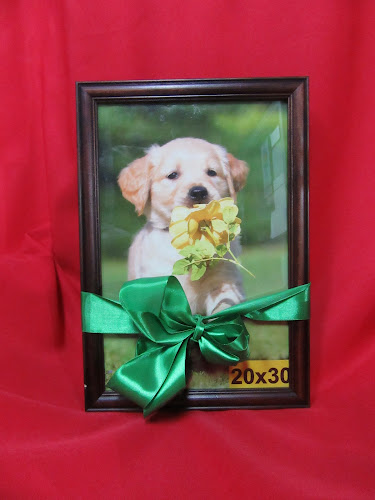 Comentarii opinii despre ENMARCACIONES y Centro Fotografico Lina Serra