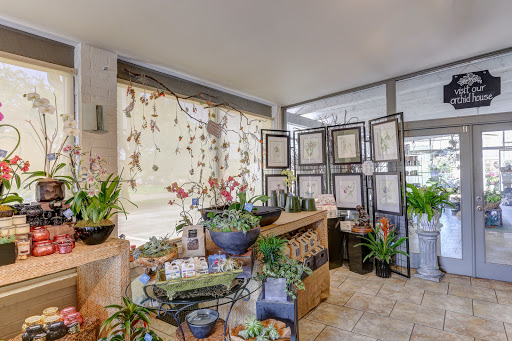 Florist «Dr Delphinium Flower & Orchid House», reviews and photos, 513 W Campbell Rd, Richardson, TX 75080, USA