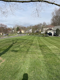 Perrone Landscaping, LLC - Photo 2 - Car repair in Glenside, PA, Philadelphia