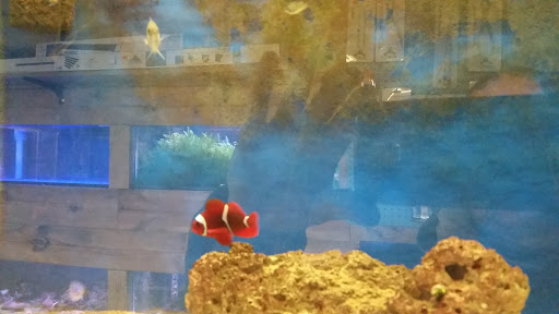 Pet Store «Marineland Pet Center», reviews and photos, 412 Oak Forest Dr, Onalaska, WI 54650, USA