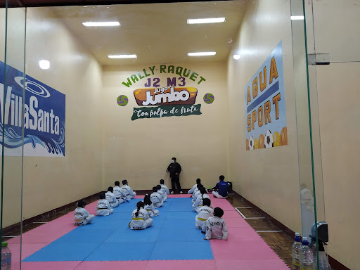 Club de Taekwondo Olimpic Kwan