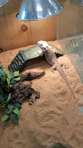 Pet Supply Store «Kahoots Pet Store», reviews and photos, 334 W El Norte Pkwy, Escondido, CA 92026, USA