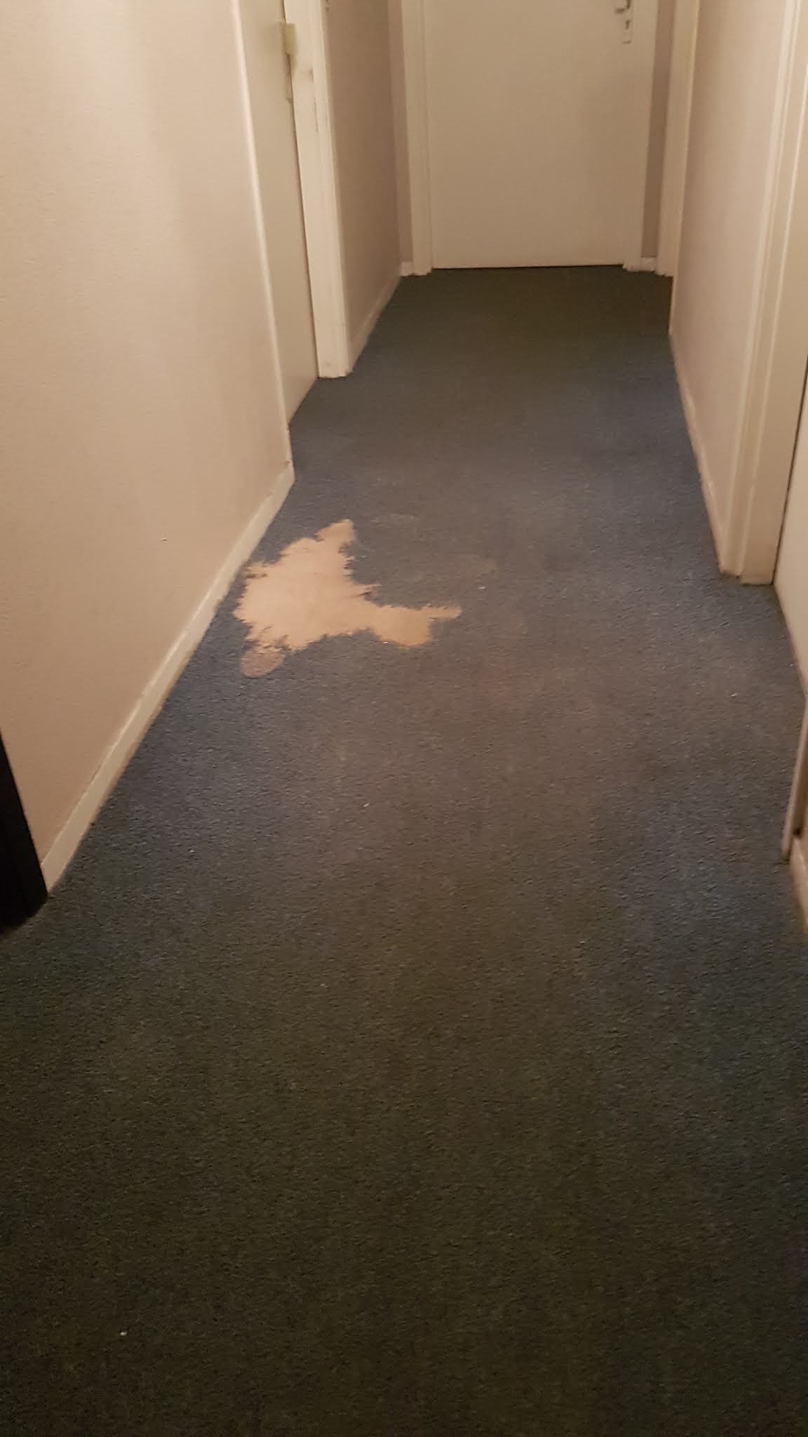 Photo n° 1 de l'avis de Eric.l fait le 24/06/2019 à 13:17