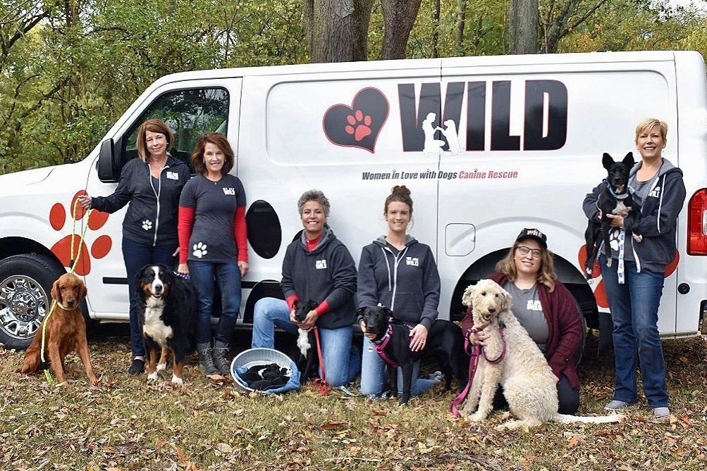 Wild Canine Rescue