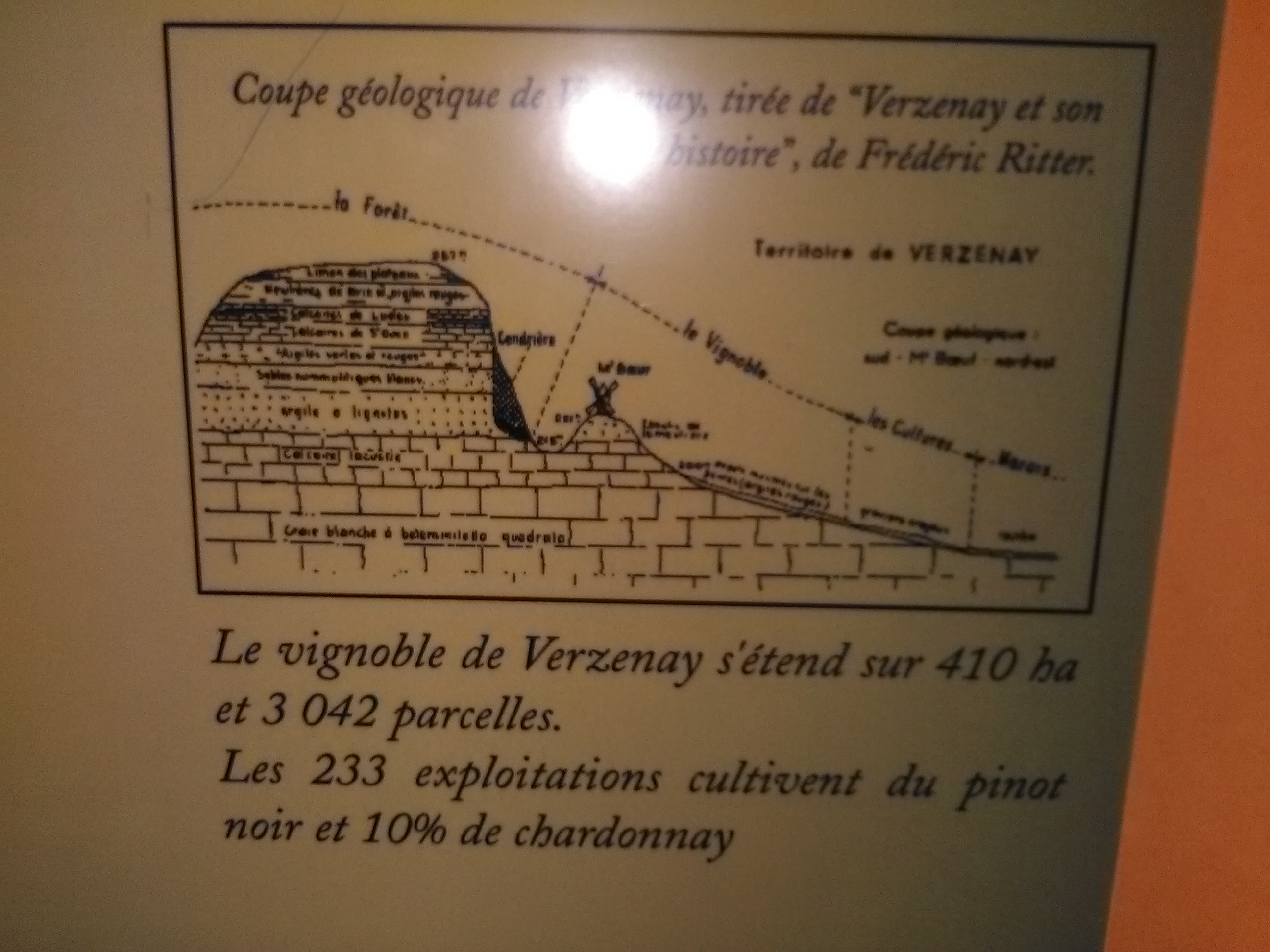 Photo n° 27 de l'avis de Athéna.e fait le 15/08/2017 à 06:29
