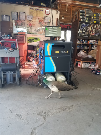 Auto Repair Shop «T & S Auto Services», reviews and photos, 279 N White Rd, San Jose, CA 95127, USA