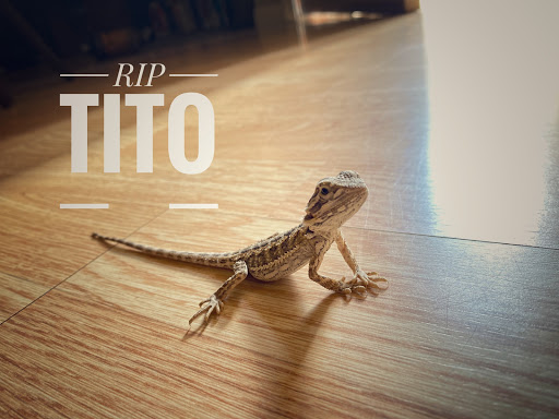 Pet Store «Pet Zone», reviews and photos, 1620 Marion-Mt Gilead Rd, Marion, OH 43302, USA