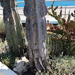 Photo n°12 de l'avis de Luigi.a fait le 15/06/2021 à 21:07 sur le  Hotel Parigi à Bordighera