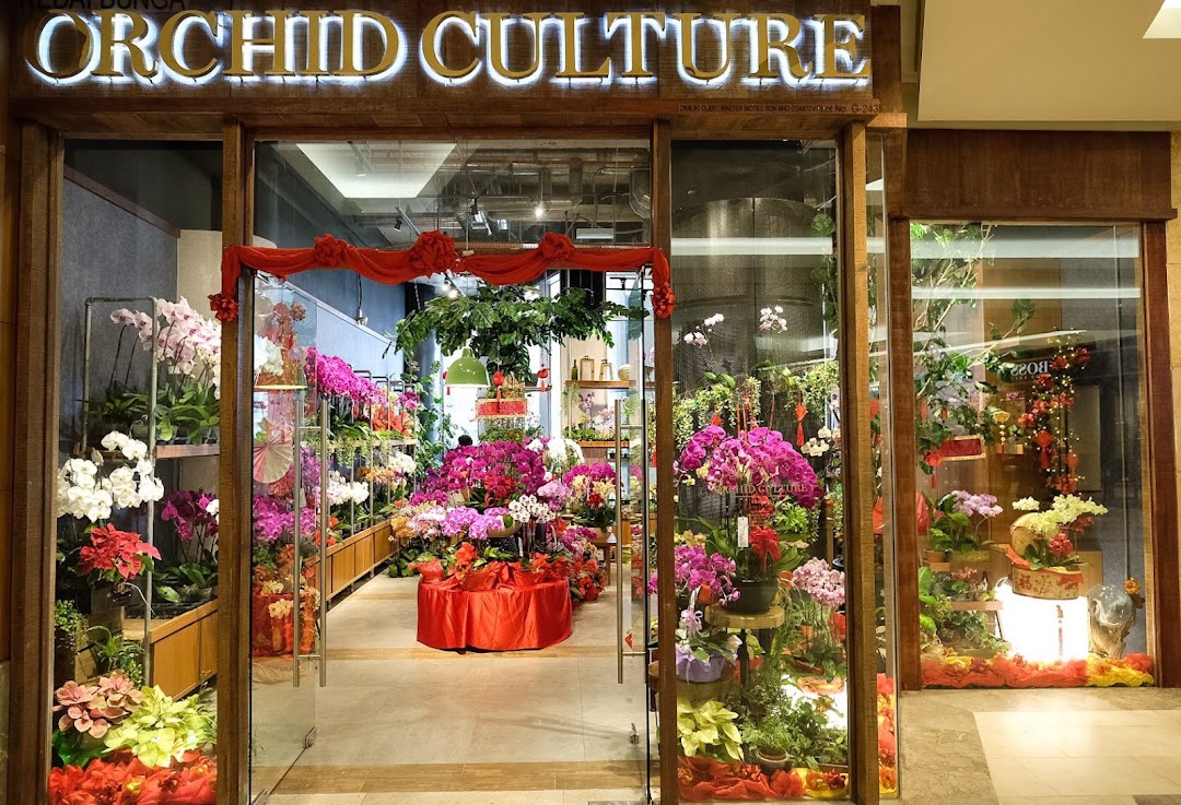 Orchid Culture The Gardens Mall Orchid Gift Boutique