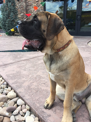 Pet Supply Store «The Animal Park Marketplace», reviews and photos, 744 W Riverdale Rd, Riverdale, UT 84405, USA