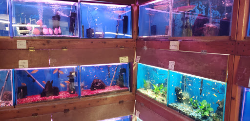 Tropical Fish Store «Ocean Flower», reviews and photos, 356 Hyde St, San Francisco, CA 94109, USA