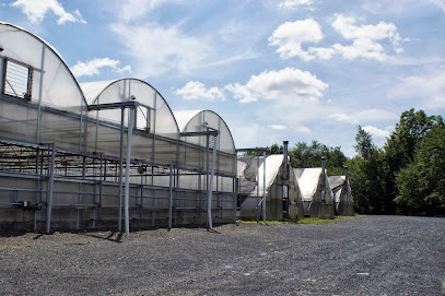Silverleaf Greenhouses
