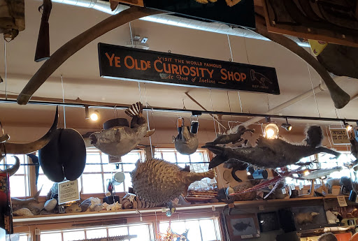 Souvenir Store «Ye Olde Curiosity Shop», reviews and photos, 1001 Alaskan Way, Seattle, WA 98104, USA